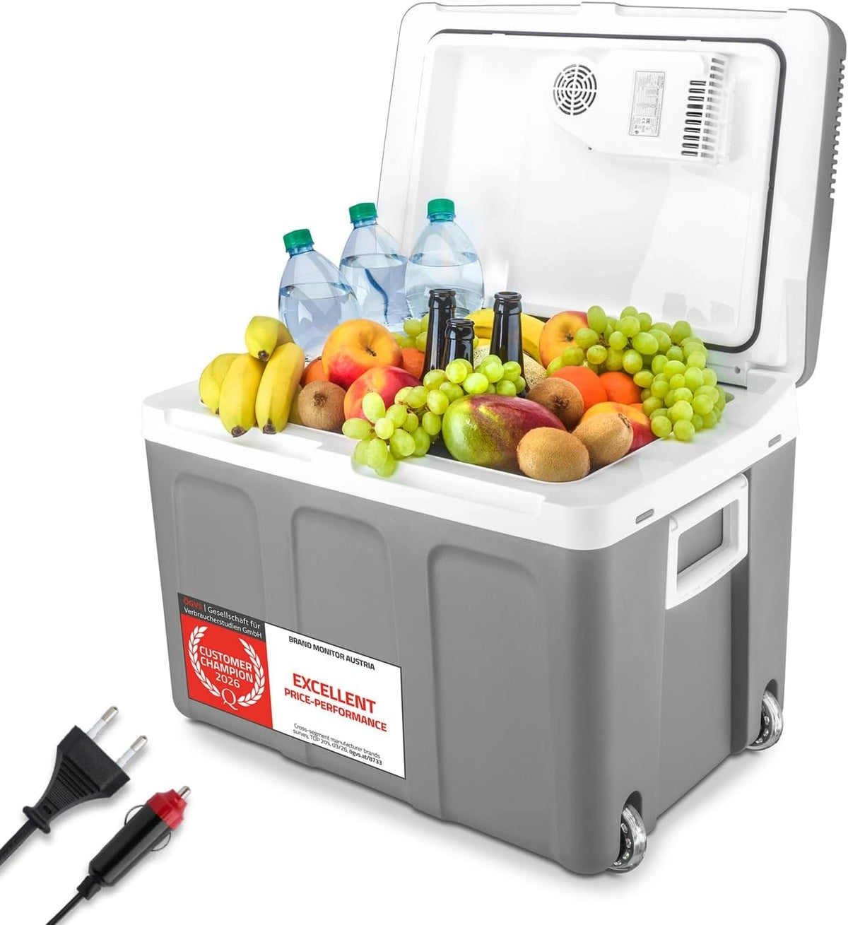 TZS, Frigorifero, 12V, 230V, 45L, portatile, Grigio